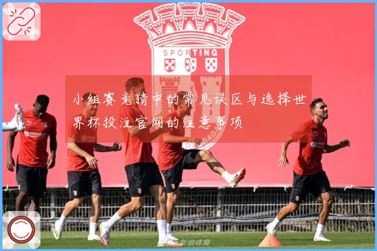 小组赛竞猜中的常见误区与选择世界杯投注官网的注意事项