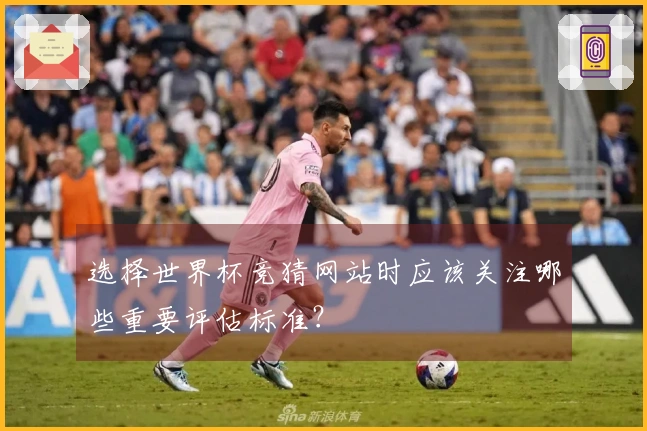 选择世界杯竞猜网站时应该关注哪些重要评估标准？